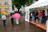 w250926CP1_0549.JPG